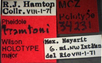 Media type: image;   Entomology 34231 Aspect: labels